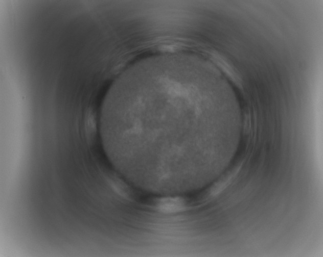 X0000113630363200909251225