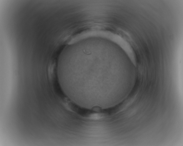 X0000113630364200909251225