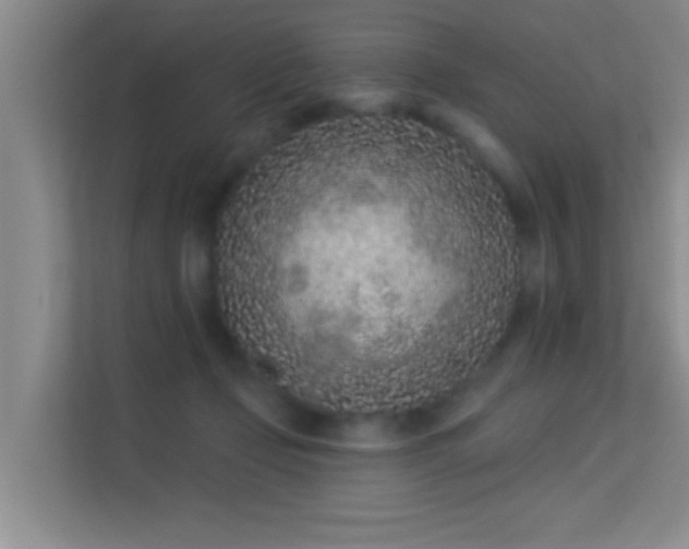 X0000113630365200909251225