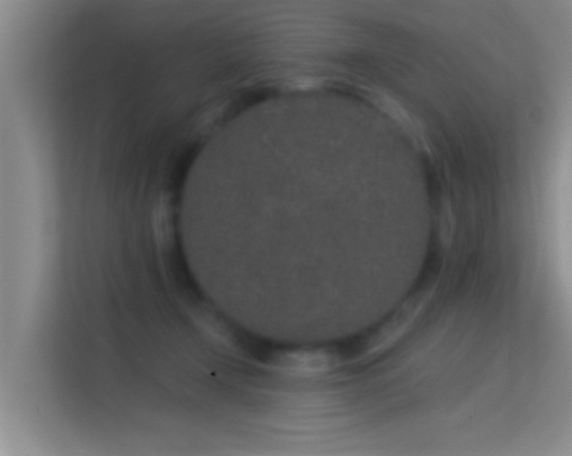 X0000113630366200909251225