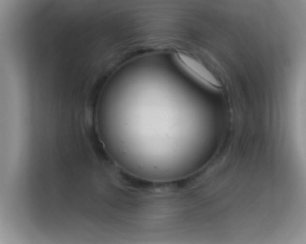 X0000113630368200909251225
