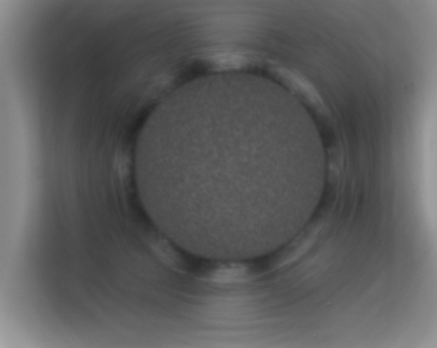 X0000113630369200909251225