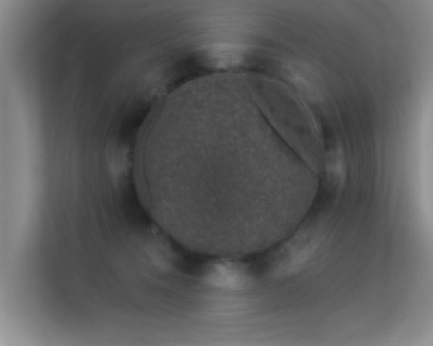 X0000113630372200909251225