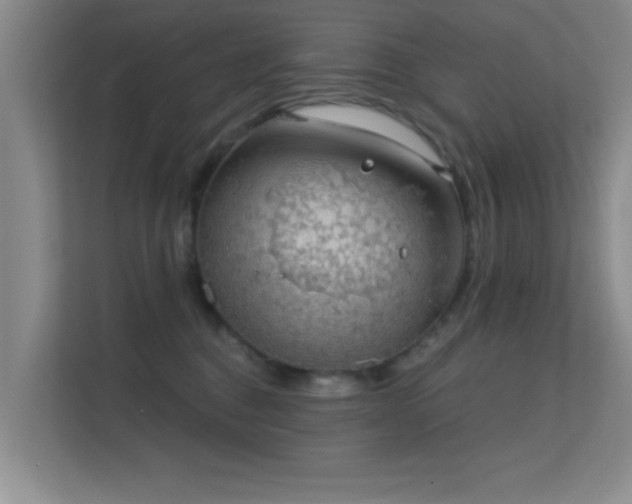 X0000113630376200909251225