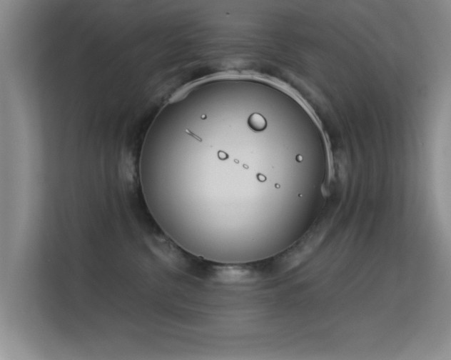 X0000113630380200909251225