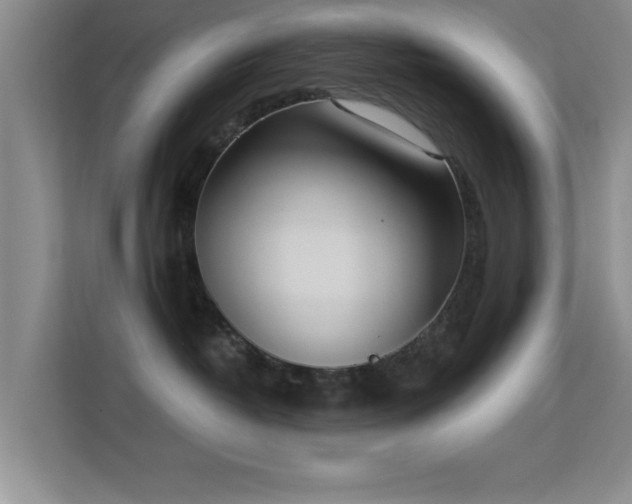 X0000113630382200909251225