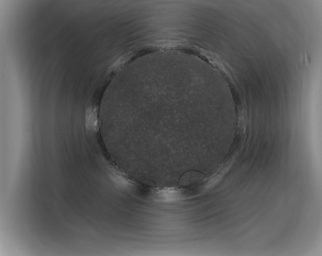 X0000113630383200909251225