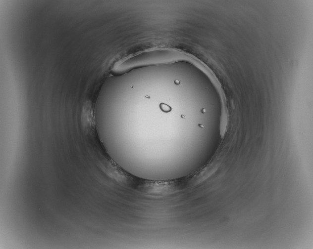 X0000113630384200909251225