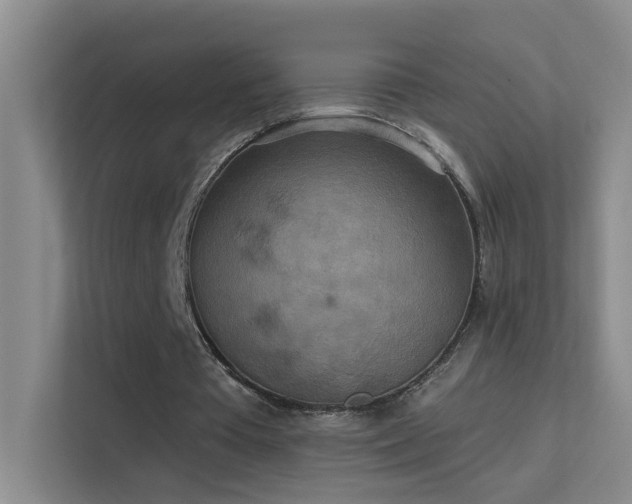 X0000113630385200909251225