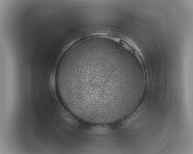 X0000113630386200909251225