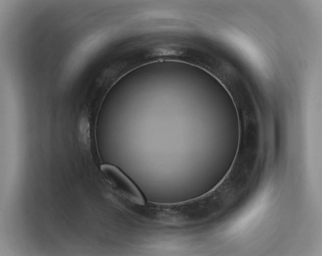 X0000113630387200909251225