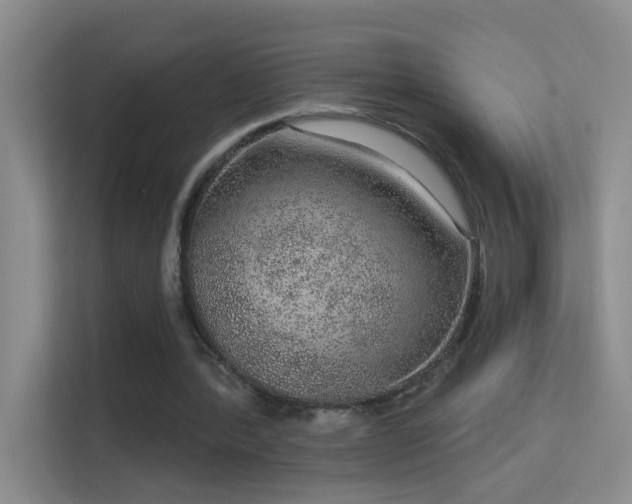 X0000113630388200909251225