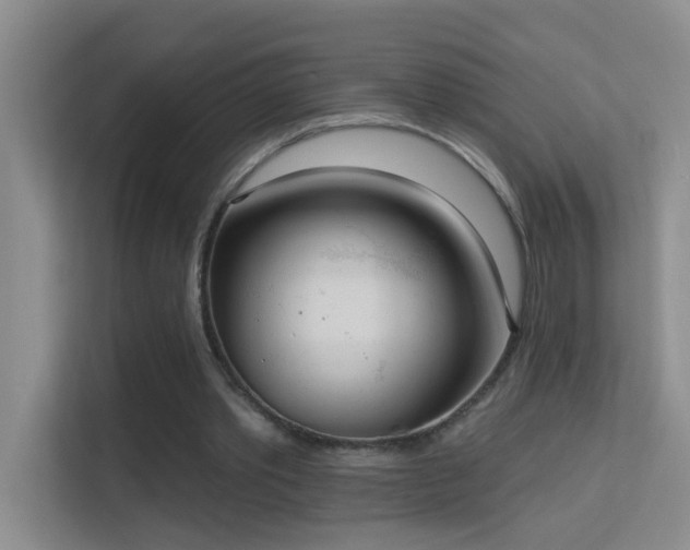 X0000113630389200909251225