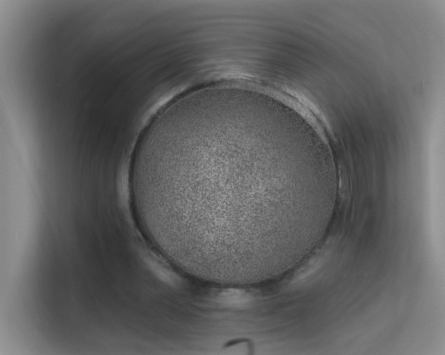 X0000113630390200909251225