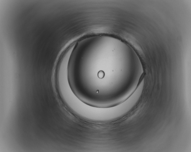 X0000113630391200909251225