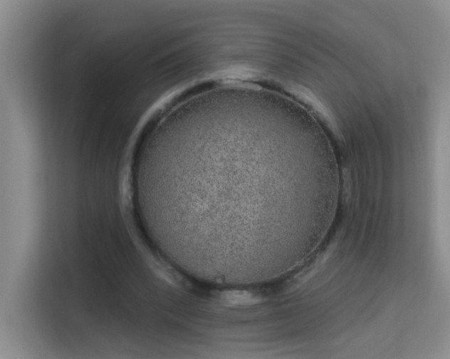 X0000113630392200909251225
