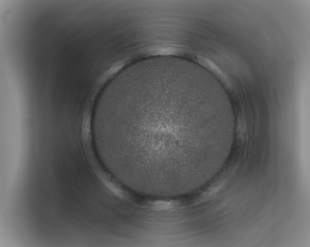 X0000113630394200909251225