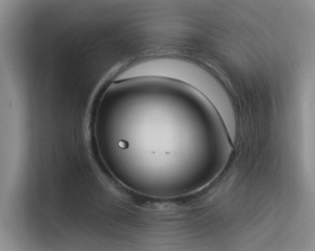 X0000113630395200909251225