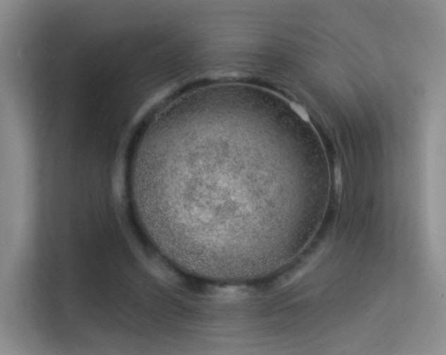 X0000113630396200909251225