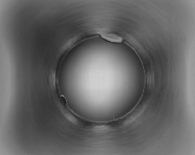 X0000113630397200909251225