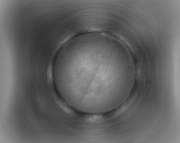 X0000113630398200909251225