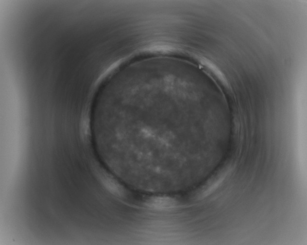 X0000113630399200909251225