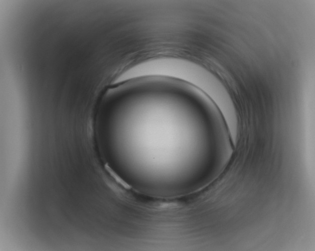 X0000113630401200909251225
