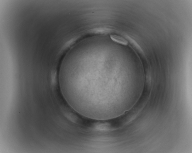 X0000113630403200909251225