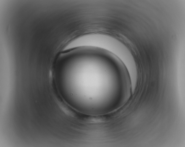 X0000113630405200909251225