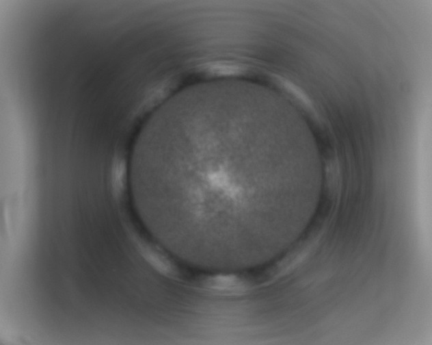 X0000113630406200909251224