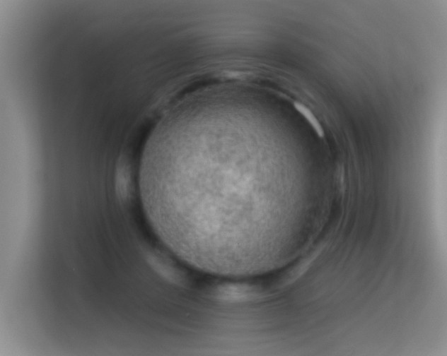 X0000113630408200909251224