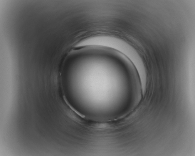 X0000113630409200909251224