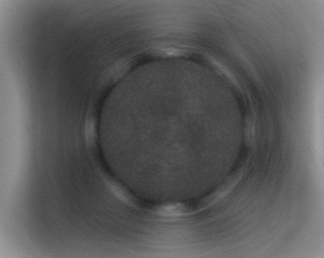X0000113630410200909251224