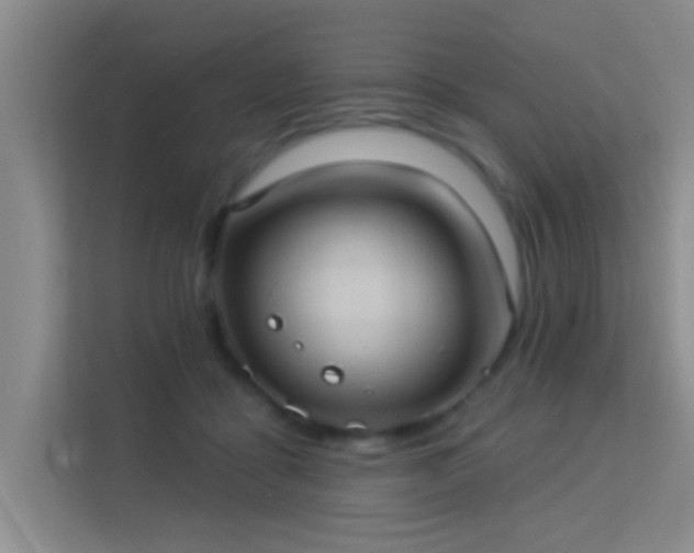 X0000113630411200909251224