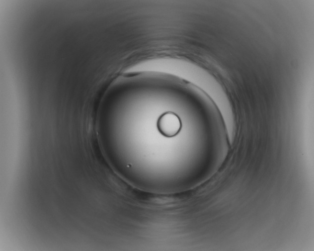 X0000113630417200909251224