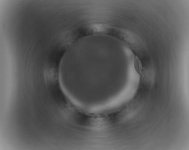 X0000113630419200909251224