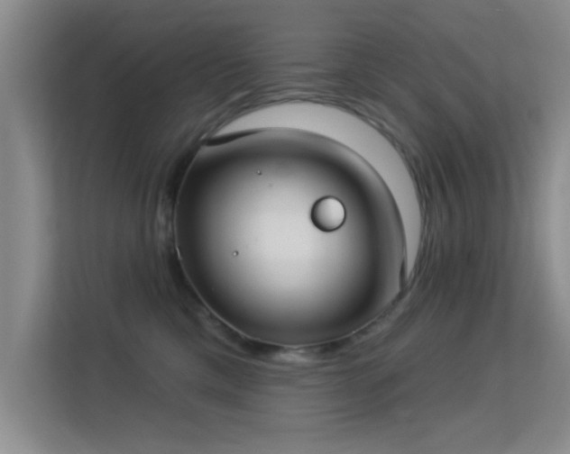 X0000113630425200909251224