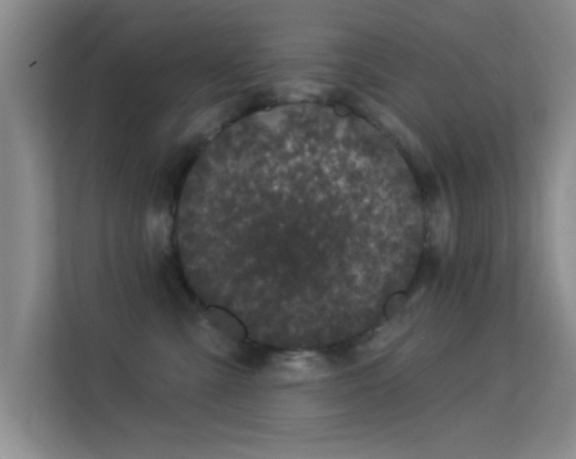 X0000113630427200909251224