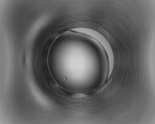 X0000113630429200909251224