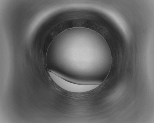X0000113630431200909251224