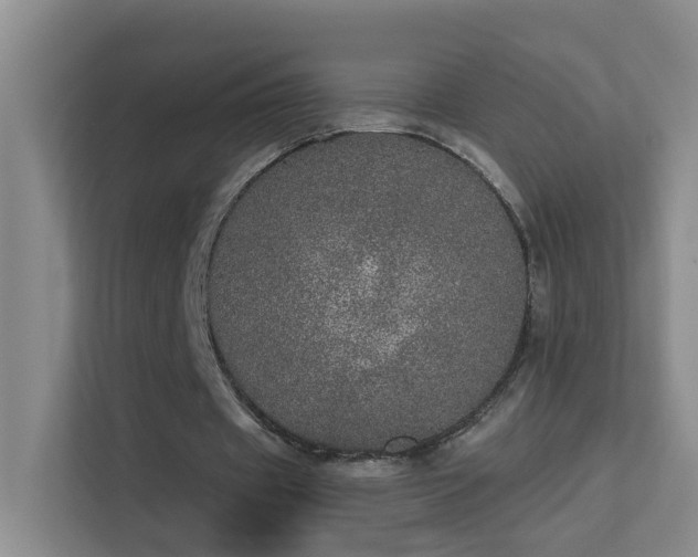 X0000113630433200909251224