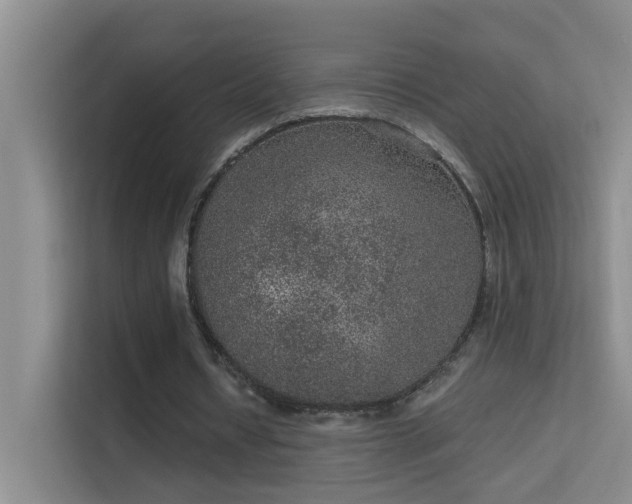 X0000113630434200909251224