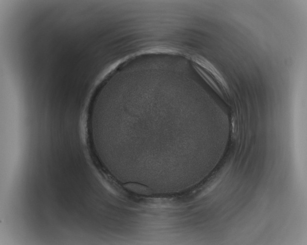X0000113630436200909251224