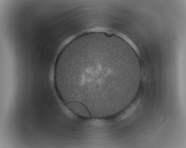 X0000113630437200909251224