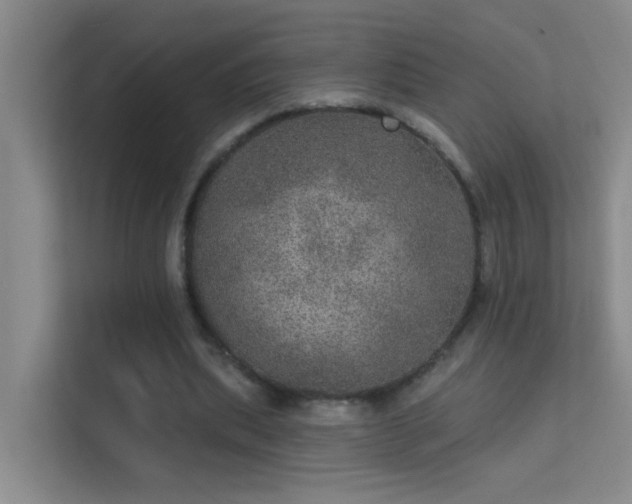 X0000113630439200909251224