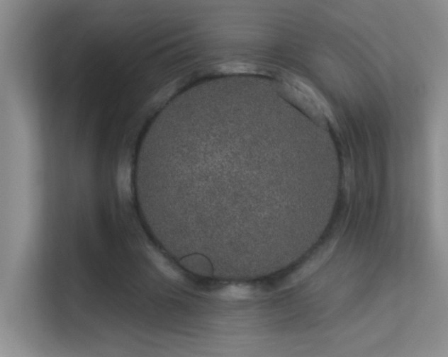 X0000113630441200909251224