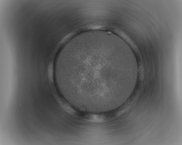 X0000113630442200909251224