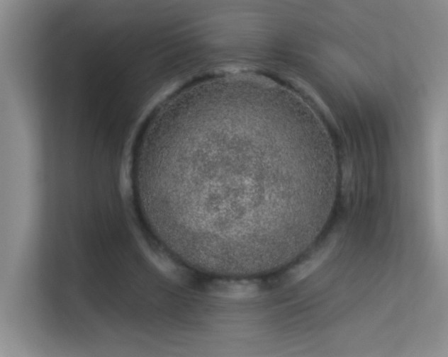 X0000113630443200909251224