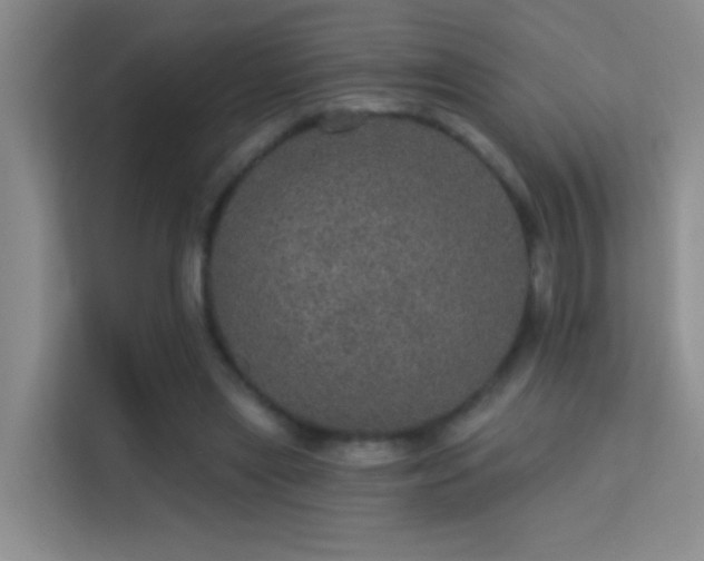 X0000113630445200909251224