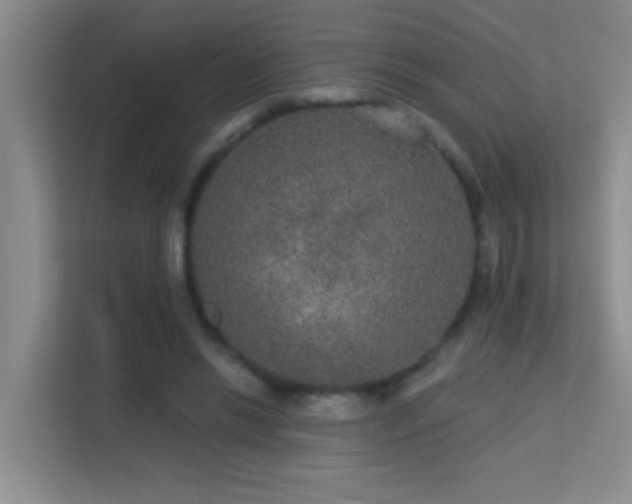 X0000113630446200909251224
